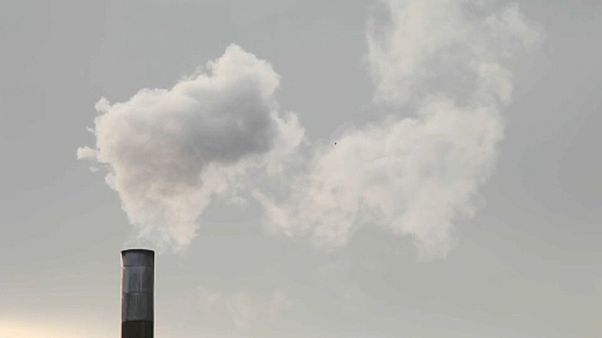 Metas climáticas da UE para 2030 não serão atingidas Metas climáticas da UE para 2030 não serão atingidas