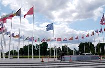 NATO üyesi ülkelerin bayrakları