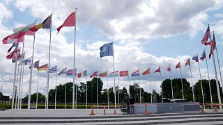 NATO üyesi ülkelerin bayrakları