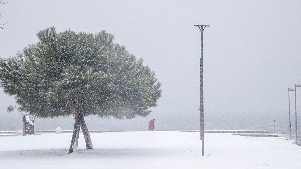 Στα λευκά η Βόρεια Ελλάδα - Χιόνια σε Πήλιο και Τρίκαλα Στα λευκά η Βόρεια Ελλάδα - Χιόνια σε Πήλιο και Τρίκαλα