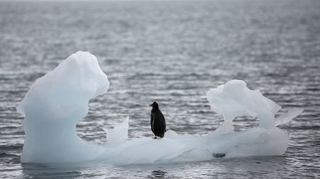 WATCH | Tackling climate change in 60 seconds or less