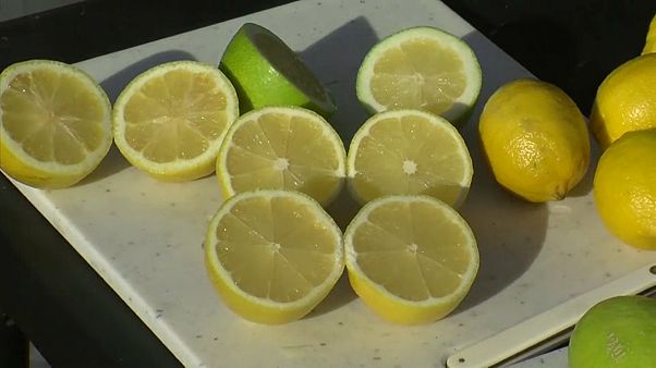 Limones sin semillas Limones sin semillas