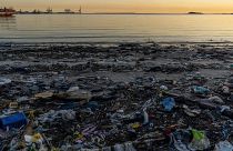 L'article 6 de l'Accord de Paris, au cœur de la COP 25