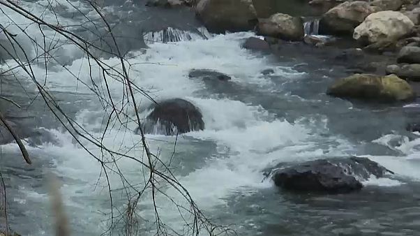 Отравленная вода Базеля Отравленная вода Базеля