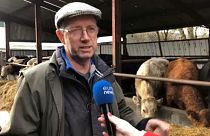 Irland: Die Bauern und das Klima