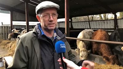 La ganadería irlandesa se niega a pagar por el cambio climático