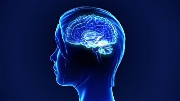 Doğum kontrol hapı alan kadınların beynindeki hipotalamus bölümü küçülüyor Doğum kontrol hapı alan kadınların beynindeki hipotalamus bölümü küçülüyor