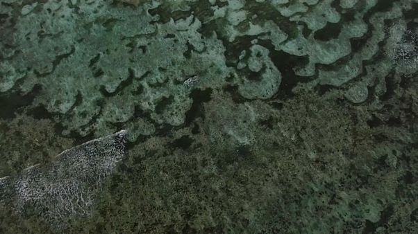 Seicheles: o paraíso ameaçado pelo aquecimento global Seicheles: o paraíso ameaçado pelo aquecimento global