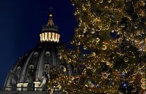 La plaza San Pedro acoge un Belén y un abeto con valores ecológicos