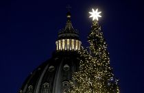 Weihnachtsbaum auf dem Petersplatz