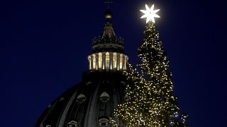 Weihnachtsbaum auf dem Petersplatz