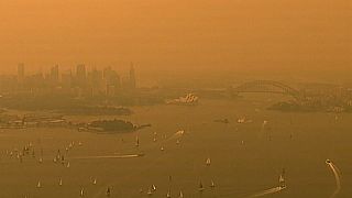 Австралия: лесные пожары подбираются к Сиднею