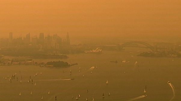 El este de Australia arde con más de cien incendios El este de Australia arde con más de cien incendios
