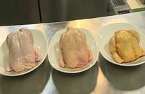 Száz tonna, szalmonellával fertőzött csirkehús a bolgár piacon Lengyelországból 