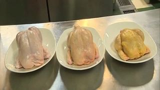 Száz tonna, szalmonellával fertőzött csirkehús a bolgár piacon Lengyelországból