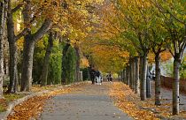 Az idei ősz volt a legmelegebb 1901 óta