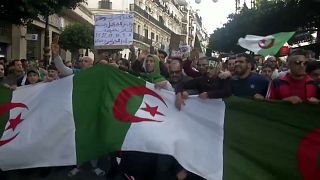 Алжир лихорадит перед выборами