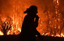 Australia impotente davanti agli incendi: "Attendiamo le piogge"
