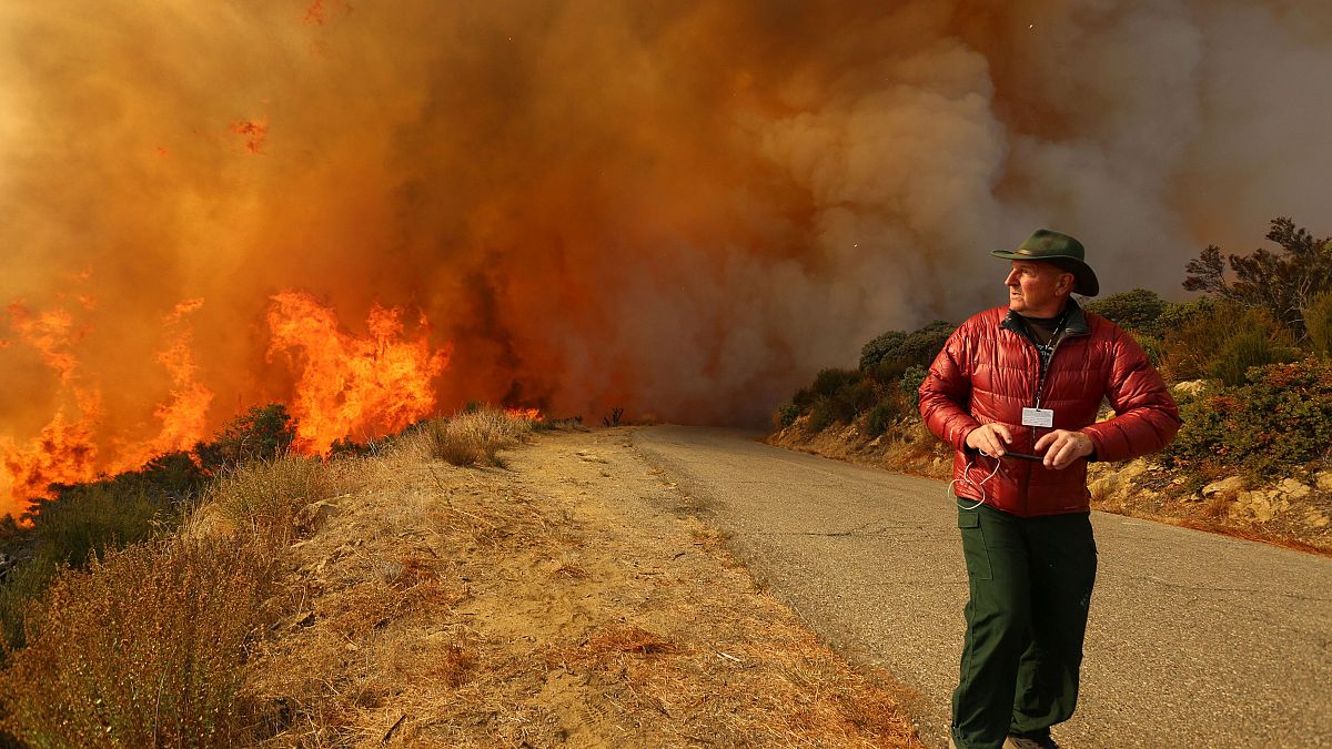 Kaliforniya orman yangınları, ABD