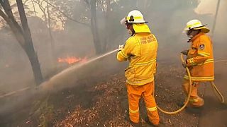 Australien: Feuerwehr kämpft gegen Buschbrände