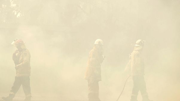 Australia: ecco le immagini del disastro ambientale che si consuma nel Paese Australia: ecco le immagini del disastro ambientale che si consuma nel Paese
