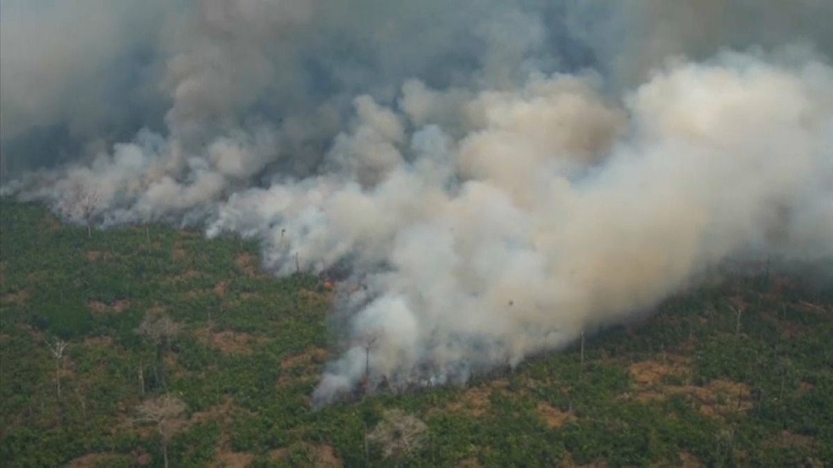 Brasil reclama más ayuda en la lucha contra la deforestación en la COP25