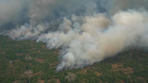 Brasil reclama más ayuda en la lucha contra la deforestación en la COP25 Brasil reclama más ayuda en la lucha contra la deforestación en la COP25