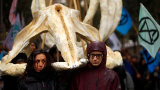 Manifestantes cargan el esqueleto de una ballena durante la manifestación en Madrid