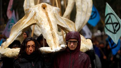 Manifestantes cargan el esqueleto de una ballena durante la manifestación en Madrid