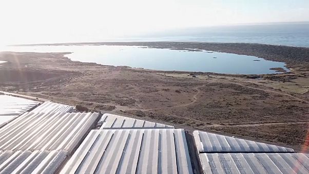 Los acuíferos cada vez más salinos amenazan 'la huerta de Europa' Los acuíferos cada vez más salinos amenazan 'la huerta de Europa'