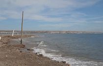L'oceano assedia i frutteti di Spagna