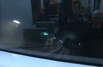 Copenhagen green city goals