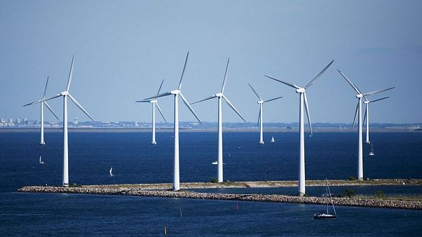 Copenhaga luta por recorde na neutralidade de emissões poluentes Copenhaga luta por recorde na neutralidade de emissões poluentes