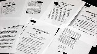 Çin'in Doğu Türkistan'daki faaliyetlerinin yer aldığı 24 sayfalık belge, Asiye Abdulaheb tarafından uluslararası basına sızdırıldı