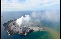 'We know that 23 people have been rescued': New Zealand journalist talks to Euronews