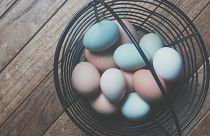 French women breaking down the final frontier in veganism