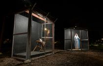 شاهد: مغارة عيد الميلاد تخرج من الكنيسة إلى الشارع