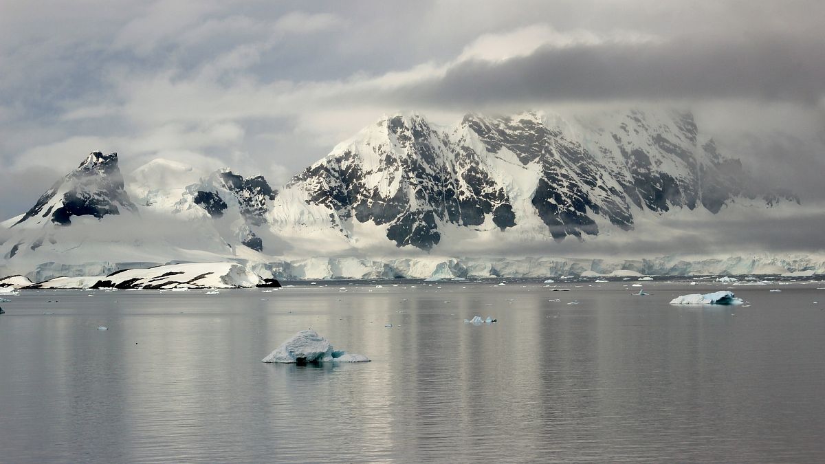 Antarktika'da keşif yapan bilim insanlarının beyninin küçüldüğü gözlemlendi