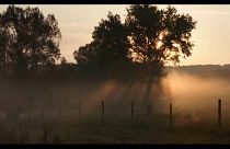 Kiáltvány a szántás ellen