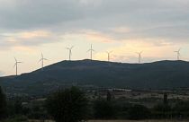 100 Milliarden fürs Klima: EU will grünen Umweltpakt vorlegen