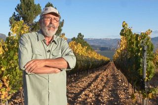 Why are wine producers in Spain moving their vineyards uphill?