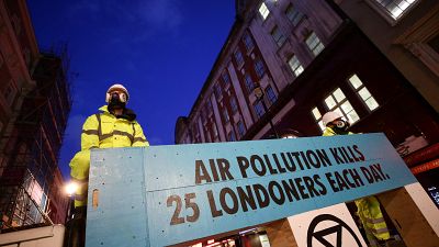 Pollution, plants and protests: Where do UK parties stand on Green issues?