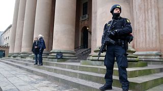 Danish police carried out raids around the country (File picture from 2016)
