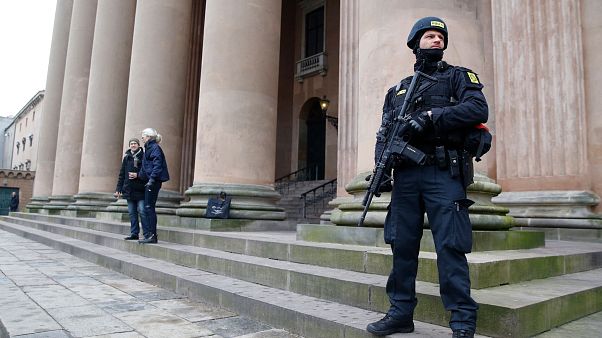 Danish police carried out raids around the country (File picture from 2016) Danish police carried out raids around the country (File picture from 2016)