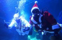 Морской Санта-Клаус и подводный ангел