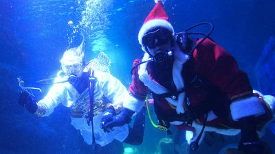 Papá Noel se sumerge para llevar la Navidad al acuario de Berlín