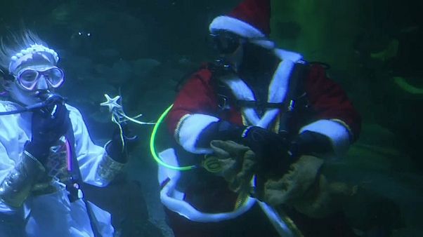 Weihnachtsmann auf Tauchgang Weihnachtsmann auf Tauchgang