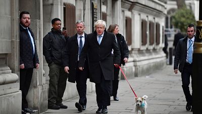 Largas colas y muchos perros en las elecciones del Reino Unido