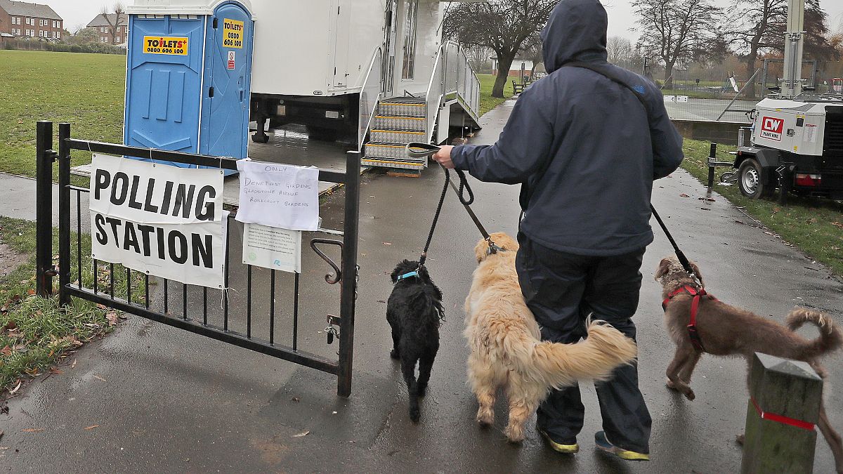  A voter with his dogs arrives at a polling station in Twickenham, London, Thursday, Dec. 12, 2019.