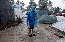 Мигранты на Лесбосе: жизнь в оливковой роще